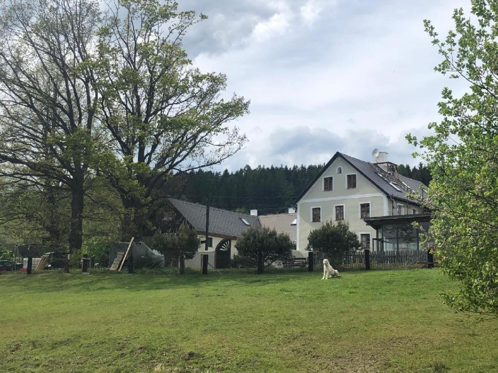 Apartman Malsin Экстерьер фото
